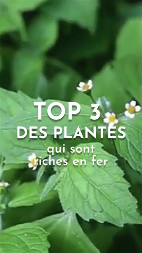 142K views · 2.8K reactions |  Besoin de fer ? Et si vous alliez en...