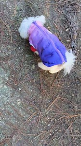 8.4K views · 1.9K reactions | Roxy's mommy :::::::::: Do you like...