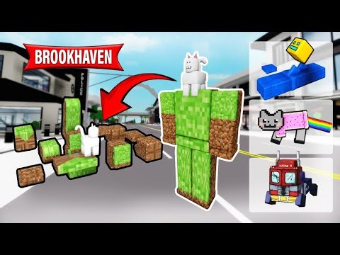I combine AVATAR + EMOTE in Brookhaven COOL Trick! 😱 (Working Codes!)