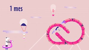 16K views · 52 reactions | ¿Quieres 60% de descuento en los programas de Adobe y 1 mes gratis? Promoción exclusiva para ESTUDIANTES pagando anualidad. Info por inbox o en: https://adobe.ly/2LZriaO | Adobe Latinoamerica | Facebook