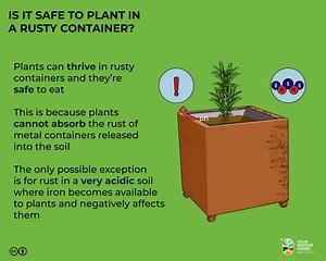 Is It Safe to Plant in a Rusty Container? [3 Safety Options] | Your Indoor Herbs and Garden