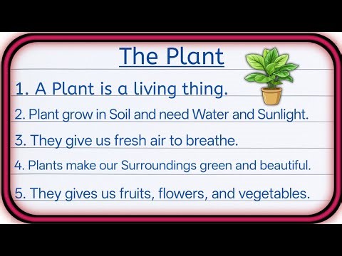 10 lines on the plants in English | The Plant essay in English 10 lines | plant on essay