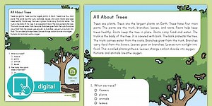 First Grade All About Trees Reading Passage Comprehension Worksheet