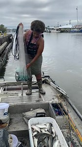 How to Cast Net Mullet Like a Pro! 🎣💪Y’all have been asking for a tutorial, so here it is! I’m breaking down how to throw an 8-foot cast net to catch mullet with ease. This is the same technique I used in one of my viral videos, and now I’m showing you exactly how it’s done!Watch closely, practice, and soon you’ll be landing mullet like a pro. If this helps you, drop a comment and let me know! And don’t forget to like, share, and follow for more fishing tips and tricks from 337FishingQueenAndC