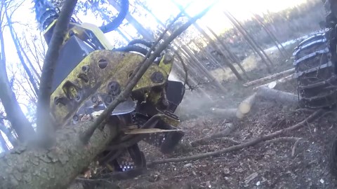 Powerful Machines Cutting Through The Woods With Precision