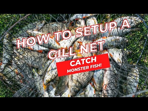 How to Setup a Gill Net & Catch Monster Fish !