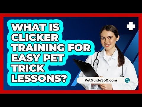 What Is Clicker Training For Easy Pet Trick Lessons? - PetGuide360.com