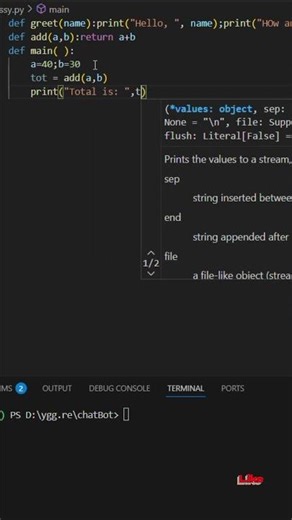 Coding Gone Wild: Ruff Takes Over! 😱🔥