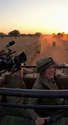 The Documentry Team Fell In Danger .....Lion Attacks!