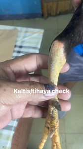 1.2M views · 4.6K reactions | #2 paa check na may kapansaan #tari #tarilesson #taritutorial #gaffing #fbreelsfypシ゚ #fbreelsfypシ゚viralfbreelsfypシ゚viral #fbreelsviral #fbreelsvideo #reelsvideoシ #reelsviralシ #highlights #followerseveryone | Camilo Mark C Ugay | Facebook