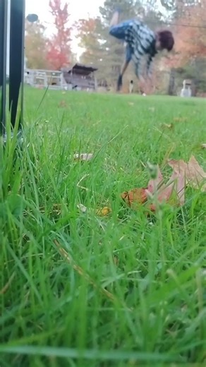 oh my gosh why are my legs like that