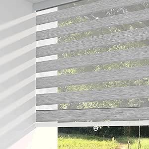 Shadesu Cordless Zebra Blinds for Windows, 56" W x 72" H, Grey, Dual Layer Free-Stop Zebra Shades, Light Control for Day and Night, Sheer Blinds for Indoor Windows, Bedroom, Kitchen