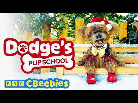 The Christmas Show 🎄🐾🎭 | FULL EPISODE | Dodge's Pup School | CBeebies