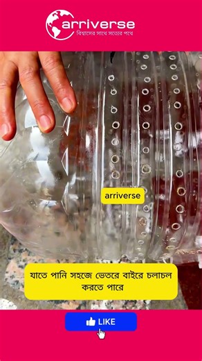 How to Make a Free DIY Fish Trap at Home | Simple Survival Hack