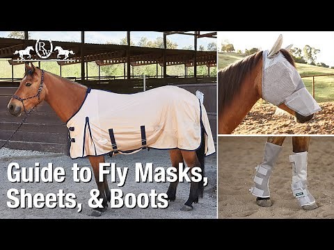 Guide to Horse Fly Masks, Sheets, & Boots
