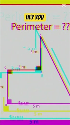 Find the Perimeter Challenge: High School Geometry Practice #MathQuiz #Geometry