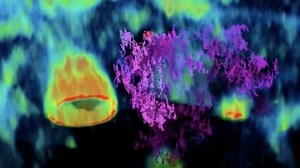 Viral video? Watch this microscopic virus try to infect a cell