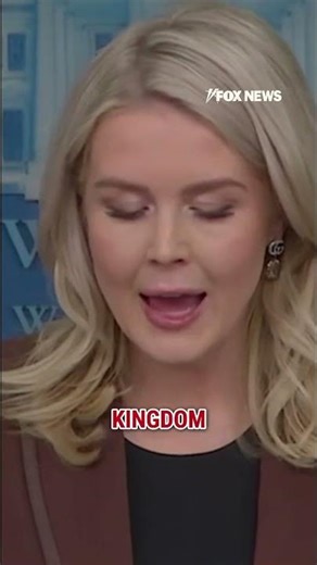 Leavitt: BBC is a 'LEFTIST PROPAGANDA MACHINE' #fox #media #breakingnews #us