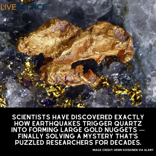 Geologists have known for decades that gold forms in quartz with the help of earthquakes, but now they have worked out exactly how the setting and seismic waves combine to form large nuggets. Read more 👉 https://trib.al/RIRGhuy | LiveScience