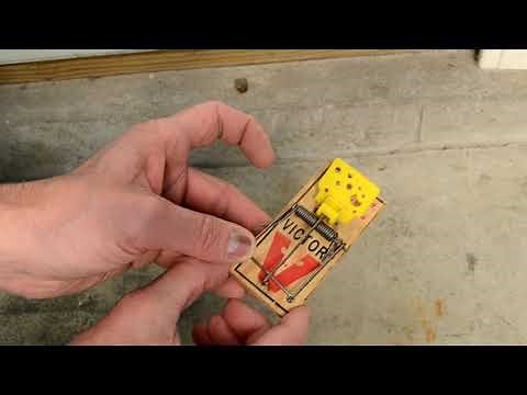 How to Set a Mousetrap