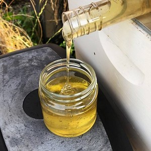 Sunset rooftop honey harvesting 💛🐝🍯 With the Flow Hive you can simply turn a tap and the honey flows down and out the back of the hive, not disturbing the busy bees as they continue to forage for nectar. Of course, it is important to remember that you still need to perform regular hive inspections to ensure your bees are healthy and pest and disease free 💛 🍯 The honey is such a sweet reward we get for taking good care of our bees. Happy beekeeping everyone 🐝😄 | Flow Hive