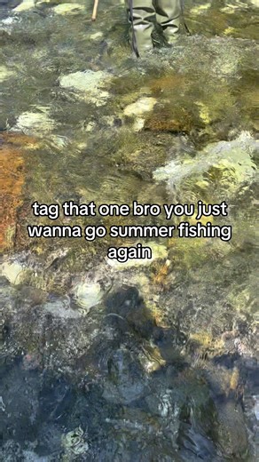 Tag Your Fishing Buddy for Summer Adventures