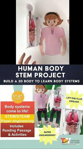 Human Body Systems STEM Project
