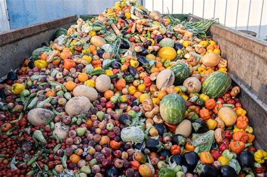 Eating into Food Waste: Reshaping How We Produce, Distribute, Consume