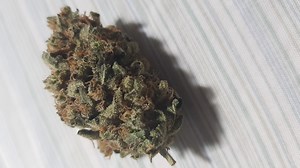 LA Kush | Marijuana Strain Reviews