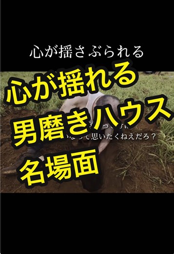男磨きハウスで心が揺れる名場面