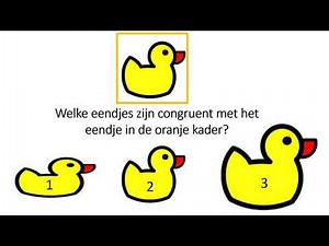 Wiskunde: congruente figuren