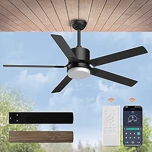 Sky sea Ceiling Fan with Light: Low Profile Black Ceiling Fan with Light and Remote/APP Control Reversible Dimmable Flush Mount Modern for Bedroom Livingroom Indoor Outdoor Patio 52 Inch