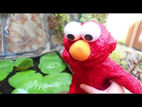 Elmo Live DESTRUCTION