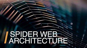 Spiders in Rural and Urban Areas Build Webs in Different Ways, Here’s Why