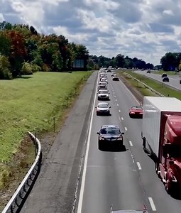 428K views · 38K reactions | Just going to leave this right here. | ForAmerica | Facebook