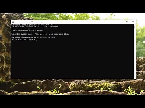 How to Reset Windows Update in Windows 11 [Tutorial]