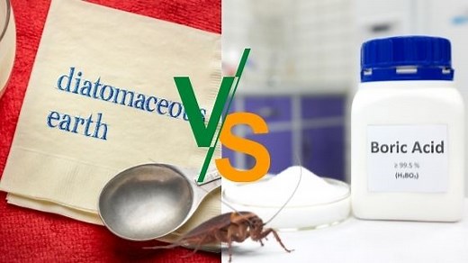 Diatomaceous Earth vs. Boric Acid Roaches: Which is Better?