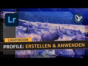 Lightroom Classic CC: Profile erstellen