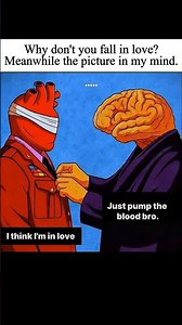 Why don't you fall in love #changeyourmindsetchangeyourlife #motivation #motivationalquotes #success