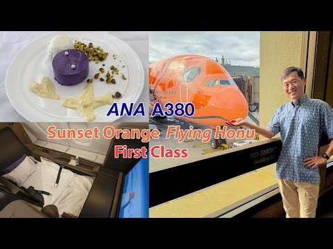 ANA A380 Sunset Orange "Flying Honu" - First Class