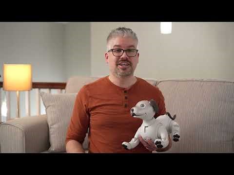 aibo | aibo Robotic Puppy 4.0 Update