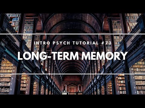 Long-Term Memory (Intro Psych Tutorial #73)