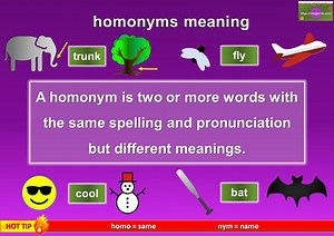 Homonyms: Definition and Examples - Mingle-ish