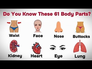 Learn 61 Body Parts in English | Human Body Parts Names for Beginners