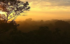 3-Day Adventure in the Amazon, Peru: Discover the Untamed Rainforest • Intrepid Scout
