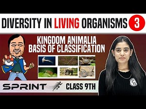 Diversity in Living Organisms 03 | Kingdom Animalia - Basis of Classification | Class 9 | NCERT