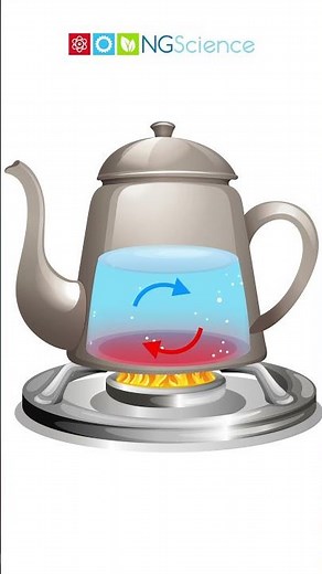 Heat Transfer – Convection #shorts #ngscience