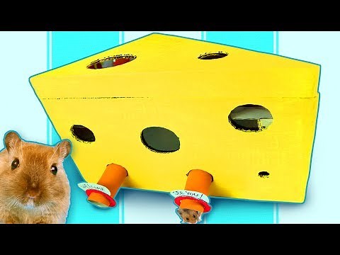 DIY Hamster Maze - Cardboard House for Hamster, Rat & Mouse | Craft Ideas For Kids on Box Yourself