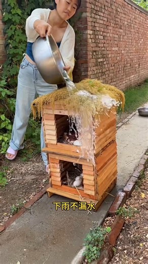Rainproof Mini Wooden Chicken Coop Test No Leaks Even in Heavy Rain (Waterproof Chicken Nest Demo