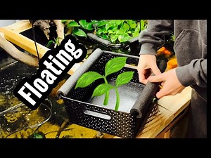 DIY Floating Plant Baskets for my Pond